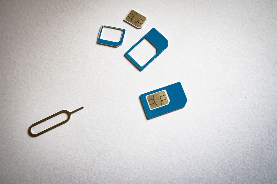 Nano-lichtstrengen geweven door dichte struiken.